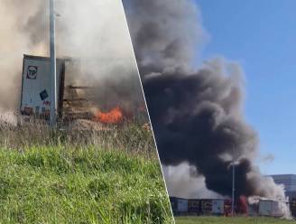 Enorme rookontwikkeling boven Zeebrugge na zware brand bij transportbedrijf: twee gewonden naar ziekenhuis