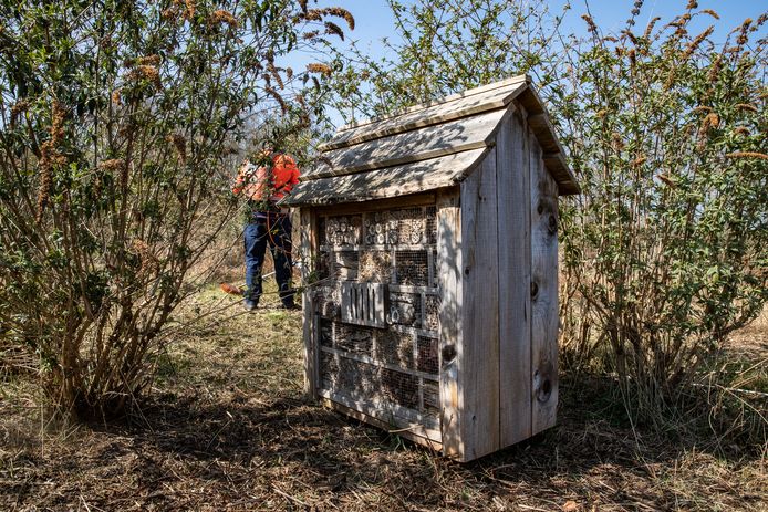 In het Gooikerspark staan meerdere insectenhotels. Deze is nog intact. Een andere is door brand compleet verwoest.