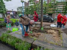 Ook op de Brabantse Wal worden volop tegels gewipt: ‘Tegen onnodige verharding’