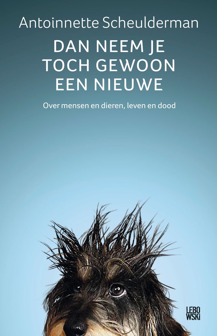 Antoinnette Scheulderman, ‘Dan neem je toch gewoon een nieuwe’, Lebowski, 336 p., 21,99 euro. Beeld rv