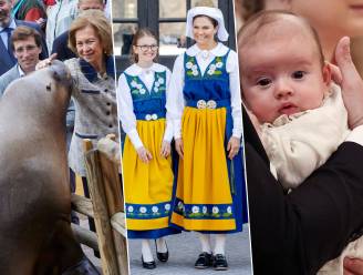 ROYALTYCHECK. De zeeleeuw van Sofía, de verhuizing van Nikolai en de nieuwe foto van babyprinsje