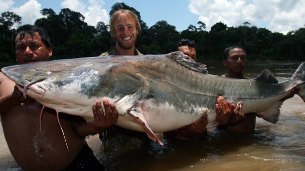 Monster Fish