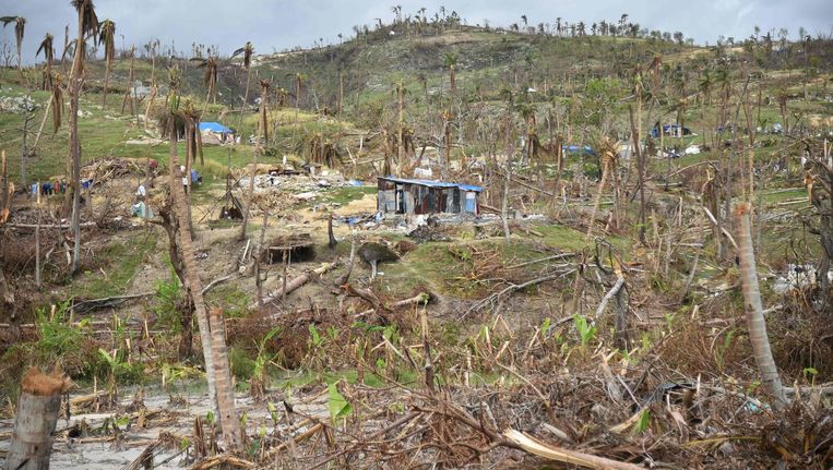 Verwoesting op Haïti door orkaan Matthew. Beeld afp