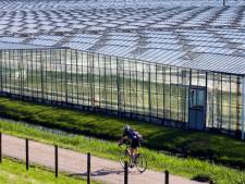 Fors minder WW-uitkeringen in Westland