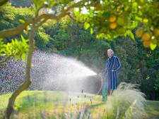 Help! Bruin gras en slappe planten: plantenexperts geven tips om je tuin te redden 