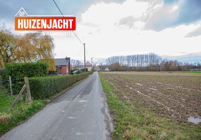 In de Sultveldstraat in Mazenzele hebben de bewoners zicht op de prachtige natuur.