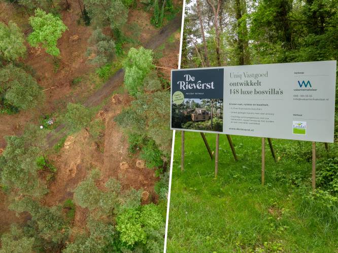 Landal pronkt met villapark ‘midden in natuur’, maar kapt er wel 700 bomen: ‘Alles binnen de regels’