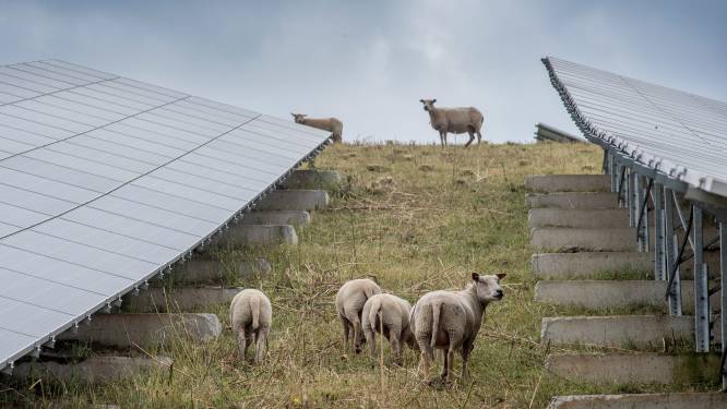Geen hinder op A15 door nieuw zonneveld, Echteld kan profiteren van aanleg