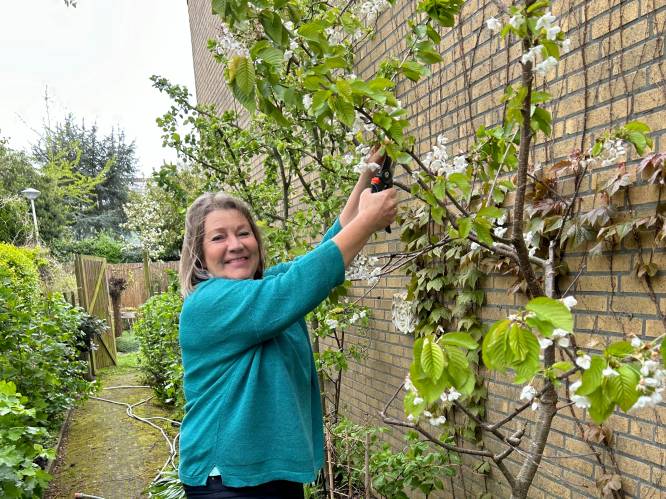Marjolein maakte van tuin vol tegels een groene oase: ‘Trekt veel leven aan’