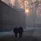 Vier op de tien Duitse jongeren weet niets over Auschwitz