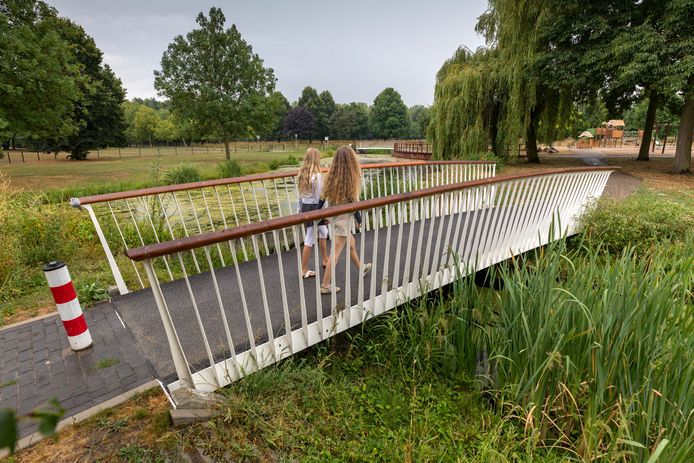 Een van de nieuwe bruggetjes in het van Zwietenpark op de Maaspoort.