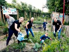 Eetbare pluktuin maakt Nieuwegeinse woonwijk niet alleen groen, maar ook sociaal: ‘Iedereen komt samen’
