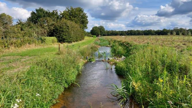 Vissen nog vaak beperkt door dammen en sluizen, dus komen er meer vispassages in de Provincie Utrecht 
