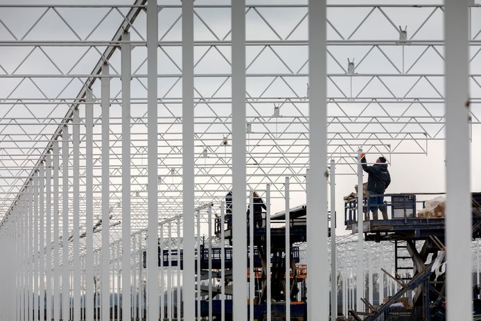De bouw van de mega-aardbeienkas in Zuilichem.
