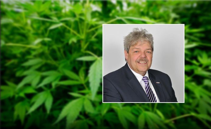 Burgemeester Tjerk Bruinsma wil meedoen aan het landelijke experiment met gereguleerde wietteelt.
