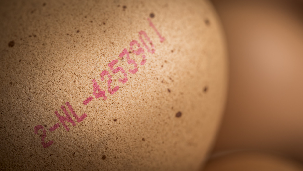 Ei met code die consument in staat stelt te checken of het om een schoon ei gaat. Beeld anp