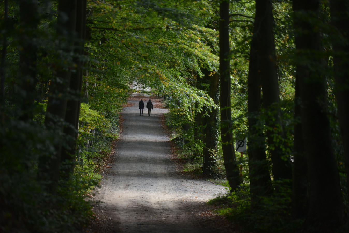 Vooruit OudHeverlee tevreden met erkenning Brabantse Wouden als
