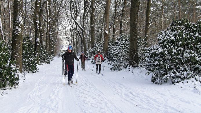 Langlaufen op de Sallandse Heuvelrug in Nijverdal en Holten Hier kun