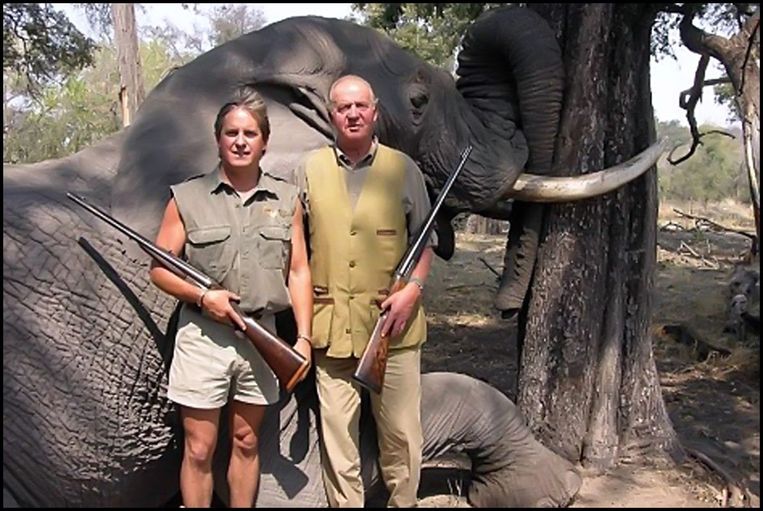 Juan Carlos tijdens een van zijn jachtreizen in Afrika in 2006.  Beeld Photo News