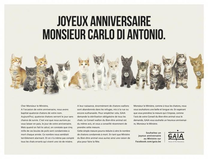 Le Joyeux Anniversaire De Gaia Au Ministre Di Antonio Ecologie 7sur7 Be