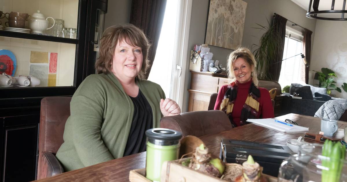 Kleine scholen in Moerdijk moeten openblijven: 'De Waarden kijkt niet naar het welzijn van de leerli