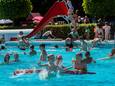 Zwembad Blankershove in Oud Gastel beleeft een spetterend seizoen na twee magere jaren.