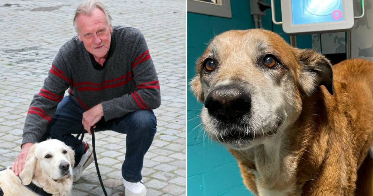 Paschadag in het Hol van Pluto: Pol Goossen toont zijn groot dierenhart ...