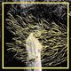 Forest Swords - Engravings