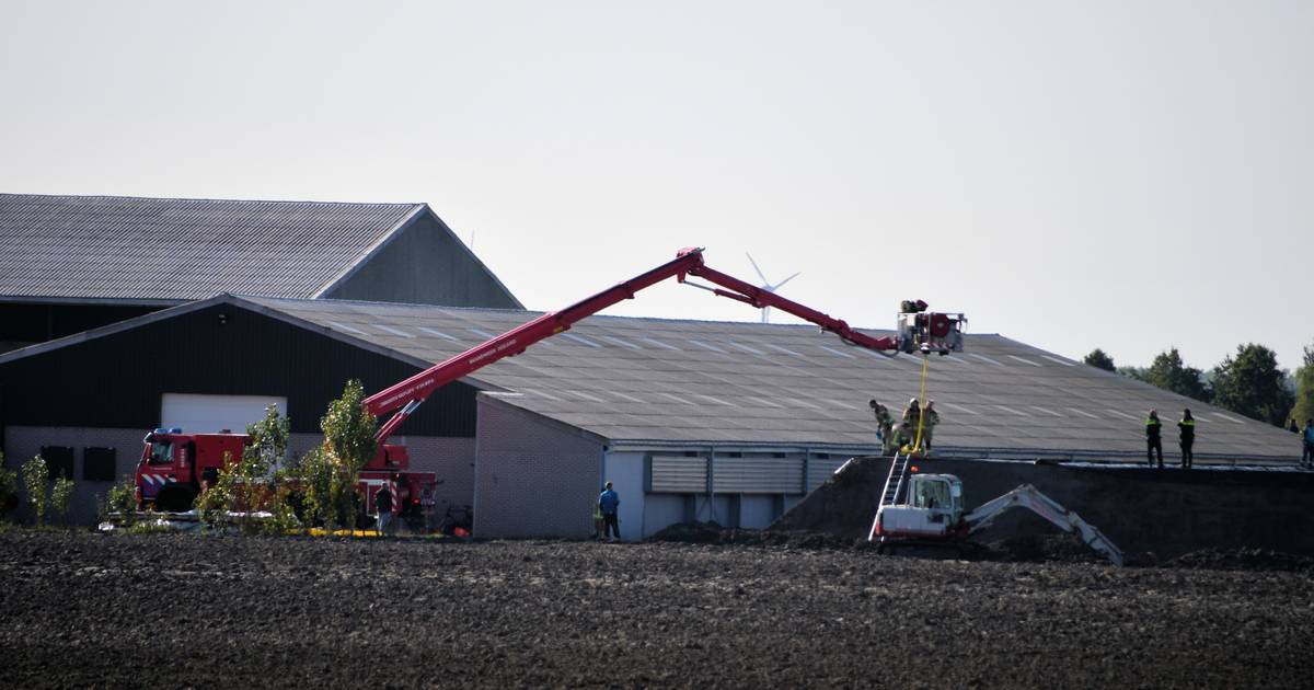 Persoon gered na val in waterbassin tijdens open dag in Aardenburg