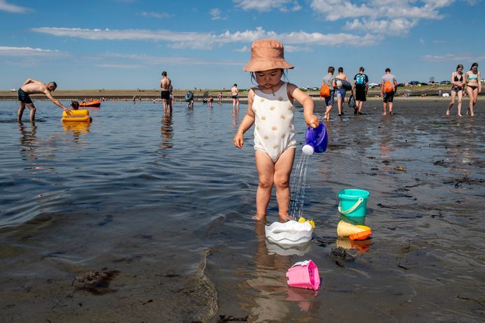 Zomerse drukte aan het water bij de Oesterdam eerder deze zomer.