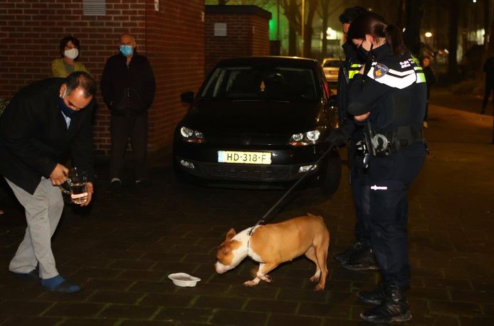 Man en hond uit rokende woning gezet in Den Bosch.