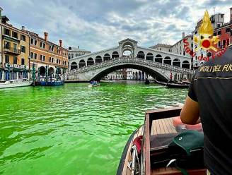 Felgroen gekleurd water in Venetië is niet gevaarlijk