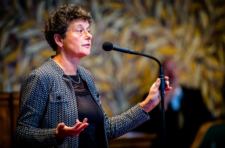 GroenLinks-senator Tineke Strik. Beeld ANP