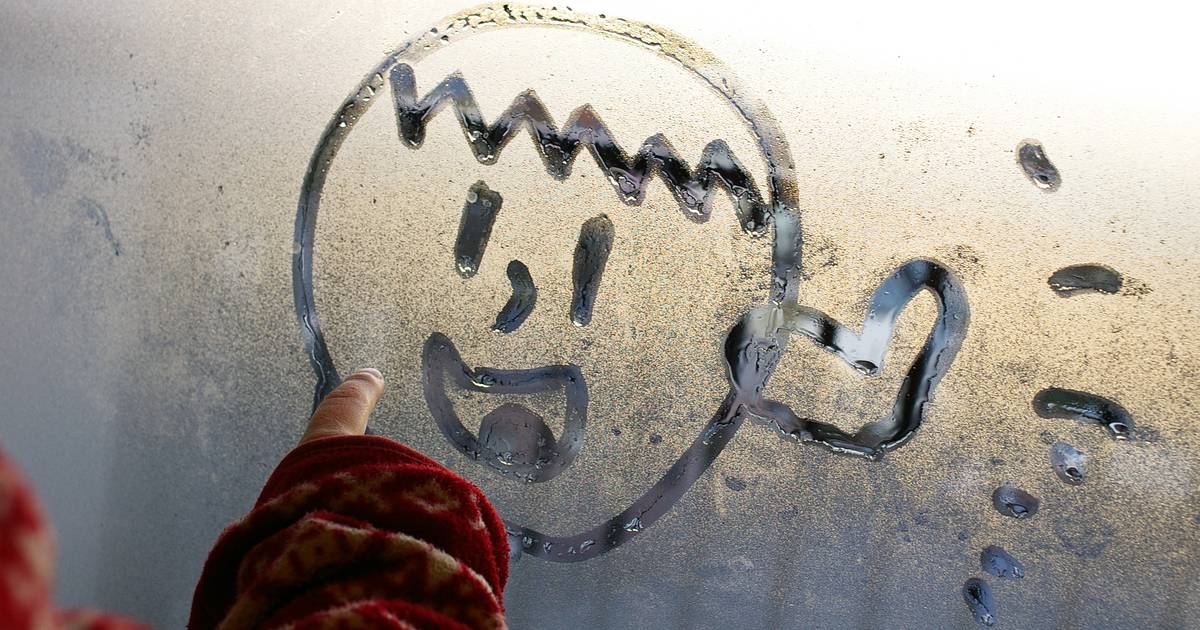 Fogged windows if the moisture is on the inside or between the glass