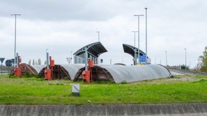 De boomhut kampenhout