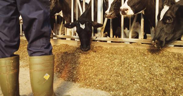 Boeren willen gesprek aangaan met consument