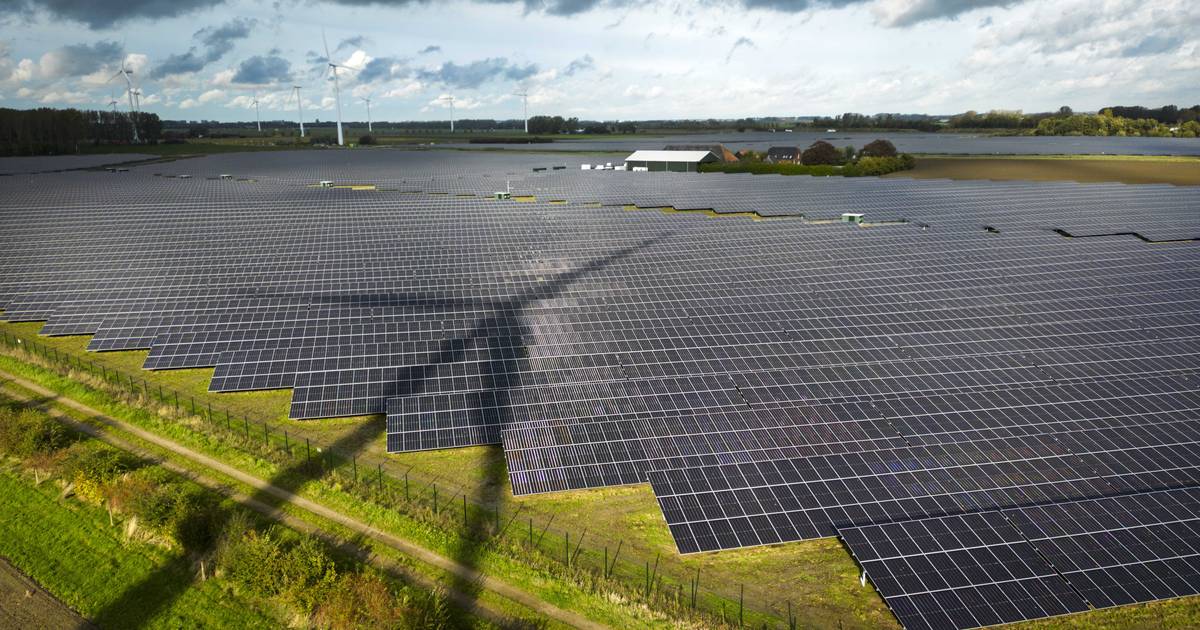 Kabinet grijpt in: zonnepanelen niet meer zomaar in weilanden, eerst moeten daken en gevels vol liggen | Binnenland