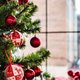 Kerstliefhebbers opgelet: dit is dé kerstboomtrend van 2020