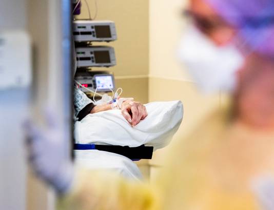 Een coronapatiënt op de intensive care van het HMC Westeinde ziekenhuis.