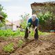 Door de knieën: tips voor tuinieren met chronische pijnklachten