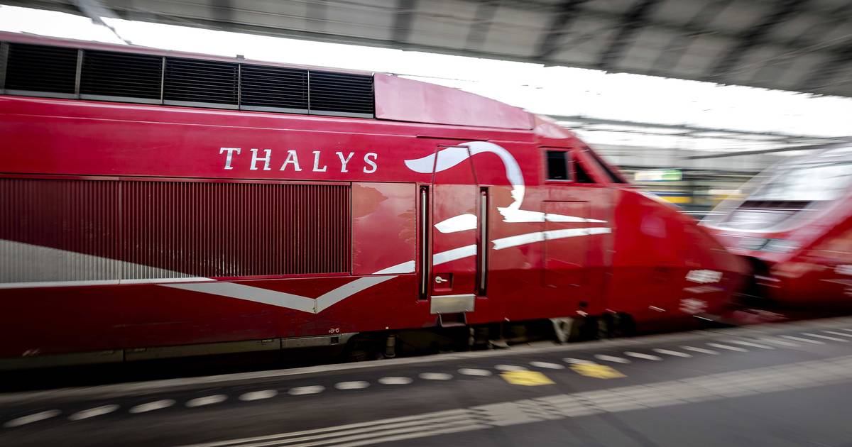 Treinverkeer Thalys komt langzaam weer op gang na botsing met dier in België.