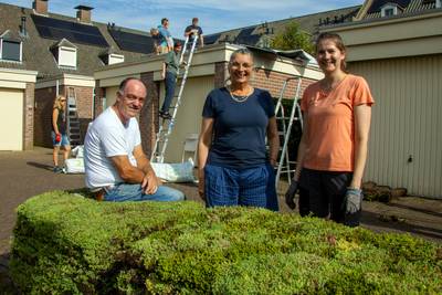 Huijbergse daken kleuren groen dankzij buurtbewoners: ‘Niet alleen fraai, maar ook klimaatbestendige
