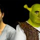 Van Spaaij naar Shrek