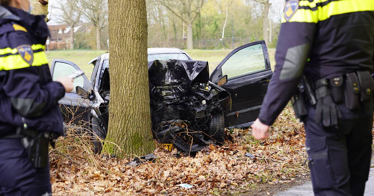 Twee gewonden na botsing tegen boom in #Dorst.