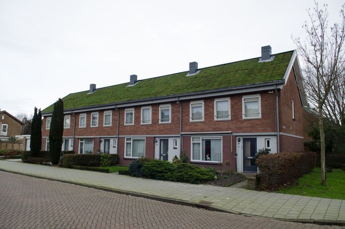 Casade heeft bij een flink aantal huurwoningen een groen dak aangebracht.