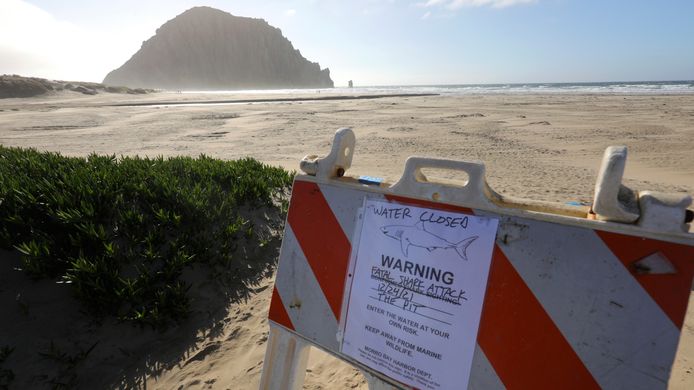 Het strand bij Morro Bay is gesloten na de dodelijke haaienaanval.