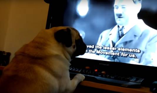 Meechan filmde de hond terwijl hij naar een video van een nazi-bijeenkomst keek.