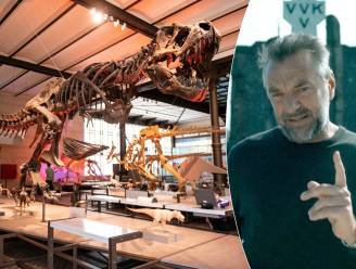 Van de dino’s tot de oorlog: ontdek zelf ‘Het Verhaal van Vlaanderen’ in deze 7 musea in Brussel, de Rand en het Pajottenland