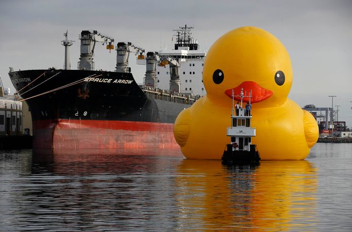 tong Tijdens ~ op tijd Canada ruziet over kosten gigantische badeend | Binnenland | AD.nl