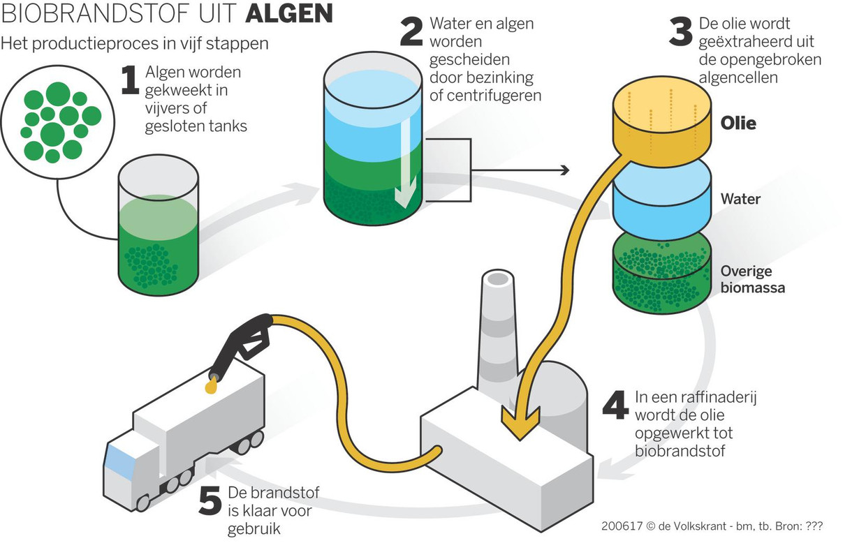 Hoe Hoog Mag De Bezinking Zijn Alles Wat Je Moet Weten Top website
